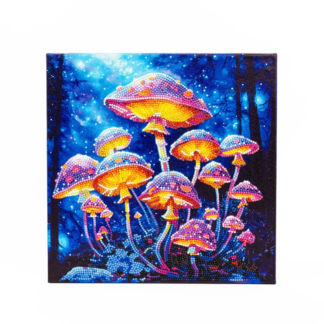 კრისტალური მოზაიკა Diamond Dotz DD343004 30*30 სმ Mushroom Moonlight