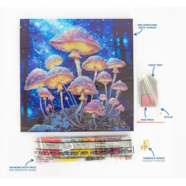 კრისტალური მოზაიკა Diamond Dotz DD343004 30*30 სმ Mushroom Moonlight