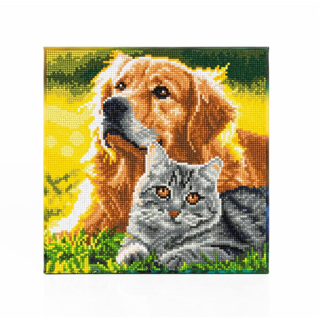 კრისტალური მოზაიკა Diamond Dotz DD343003 30*30 სმ Purrfect Day