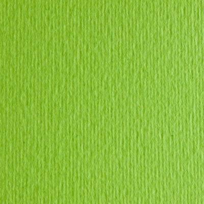 ქაღალდი FABRIANO ELLE ERRE A3 29.7*42სმ. 220გრ. 25ფ. Verde pisello 71023010