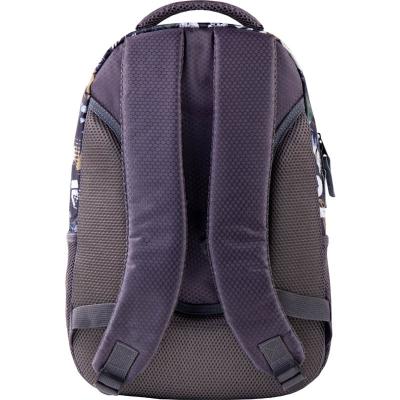 ზურგჩანთა GoPack Education GO21-133M-2 GoPack (не лицензия)