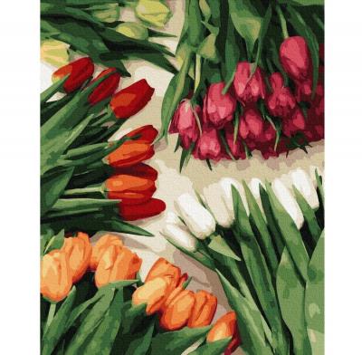 გასაფერადებელი ნომრებით BrushMe GX37544 Multicolored tulips 40*50სმ. ტილო ჩარჩოზე, აკრილის საღებავი, ფუნჯები /ნაკრები/