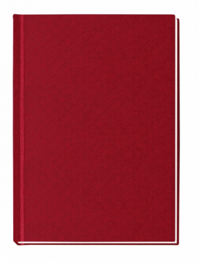ბლოკნოტი PAPIRUS ECONOMIX А6, 80ფ. 21916