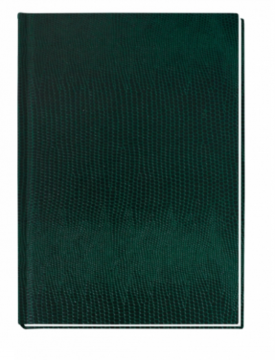 ბლოკნოტი PAPIRUS ECONOMIX А6, 80ფ. 21914