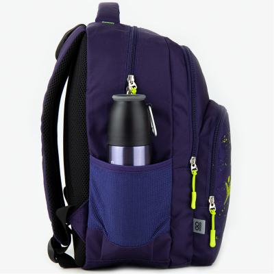 ზურგჩანთა სასკოლო KITE/GoPack GO20-113M-6