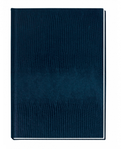 ბლოკნოტი PAPIRUS ECONOMIX А6, 80ფ. 21914