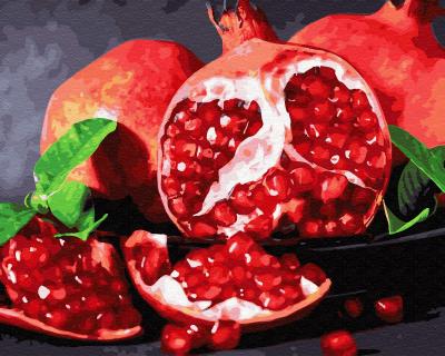 გასაფერადებელი ნომრებით BrushMe GX32215 Juicy pomegranate 40*50სმ. ტილო ჩარჩოზე, აკრილის საღებავი, ფუნჯები /ნაკრები/