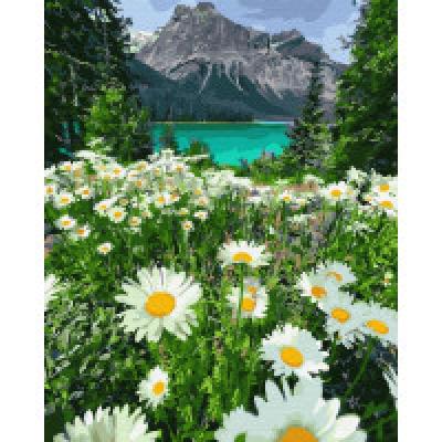 გასაფერადებელი ნომრებით BrushMe GX29451 Daisies near the mountains 40*50სმ. ტილო ჩარჩოზე, აკრილის საღებავი, ფუნჯები /ნაკრები/
