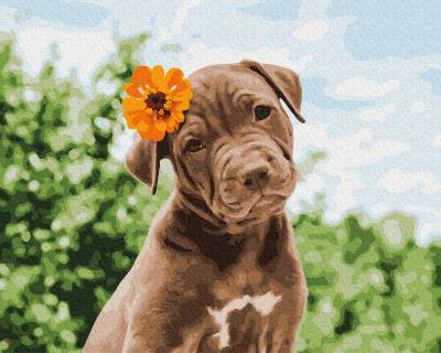 გასაფერადებელი ნომრებით BrushMe GX37552 Doggy cute romantic 40*50სმ. ტილო ჩარჩოზე, აკრილის საღებავი, ფუნჯები /ნაკრები/
