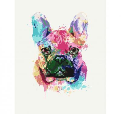 გასაფერადებელი ნომრებით BrushMe BS51398 Colorful bulldog 40*50სმ. ტილო ჩარჩოზე, აკრილის საღებავი, ფუნჯები /ნაკრები/