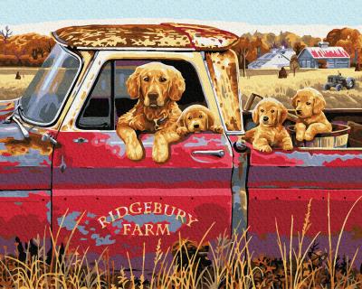 გასაფერადებელი ნომრებით BrushMe GX36425 Dog family in the car 40*50სმ. ტილო ჩარჩოზე, აკრილის საღებავი, ფუნჯები /ნაკრები/