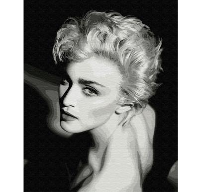 გასაფერადებელი ნომრებით BrushMe GX9954 Elegance in black and white 40*50სმ. ტილო ჩარჩოზე, აკრილის საღებავი, ფუნჯები /ნაკრები/