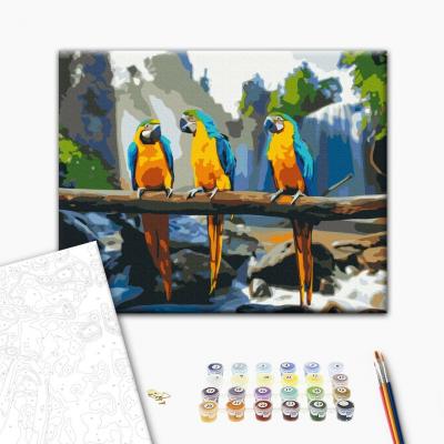 გასაფერადებელი ნომრებით BrushMe BS25500 Tropical macaws 40*50სმ. ტილო ჩარჩოზე, აკრილის საღებავი, ფუნჯები /ნაკრები/