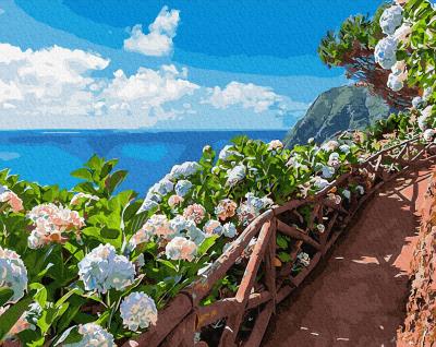 გასაფერადებელი ნომრებით BrushMe GX34289 Landscape path 40*50სმ. ტილო ჩარჩოზე, აკრილის საღებავი, ფუნჯები /ნაკრები/