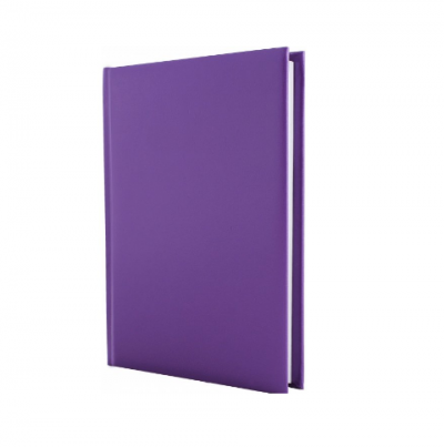 ბლოკნოტი ყოველდღიური PAPIRUS ECONOMIX А5 21717-12 PURPLE