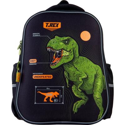 ზურგჩანთა კარკასული GoPack Education GO21-165M-6 Dinosaur