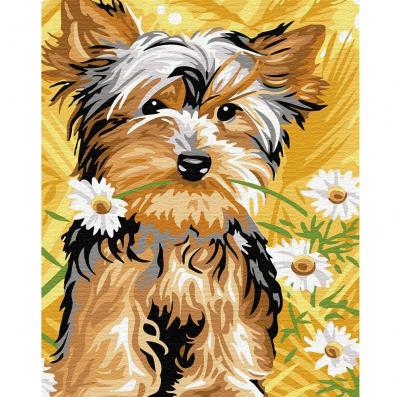 გასაფერადებელი ნომრებით BrushMe GX30040 Cute dog 40*50სმ. ტილო ჩარჩოზე, აკრილის საღებავი, ფუნჯები /ნაკრები/
