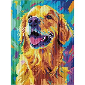 კრისტალური მოზაიკა Diamond Dotz DD344018 30*40 სმ Good Boy!